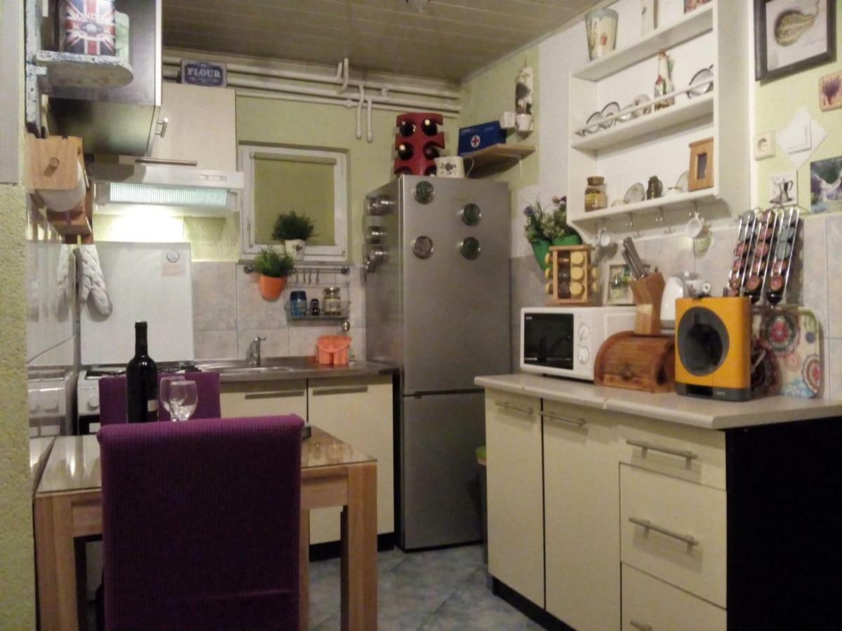 Apartman Teuta ザグレブ エクステリア 写真
