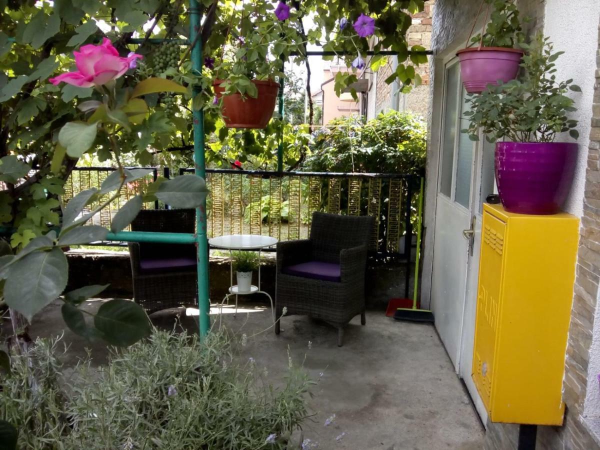 Apartman Teuta ザグレブ エクステリア 写真