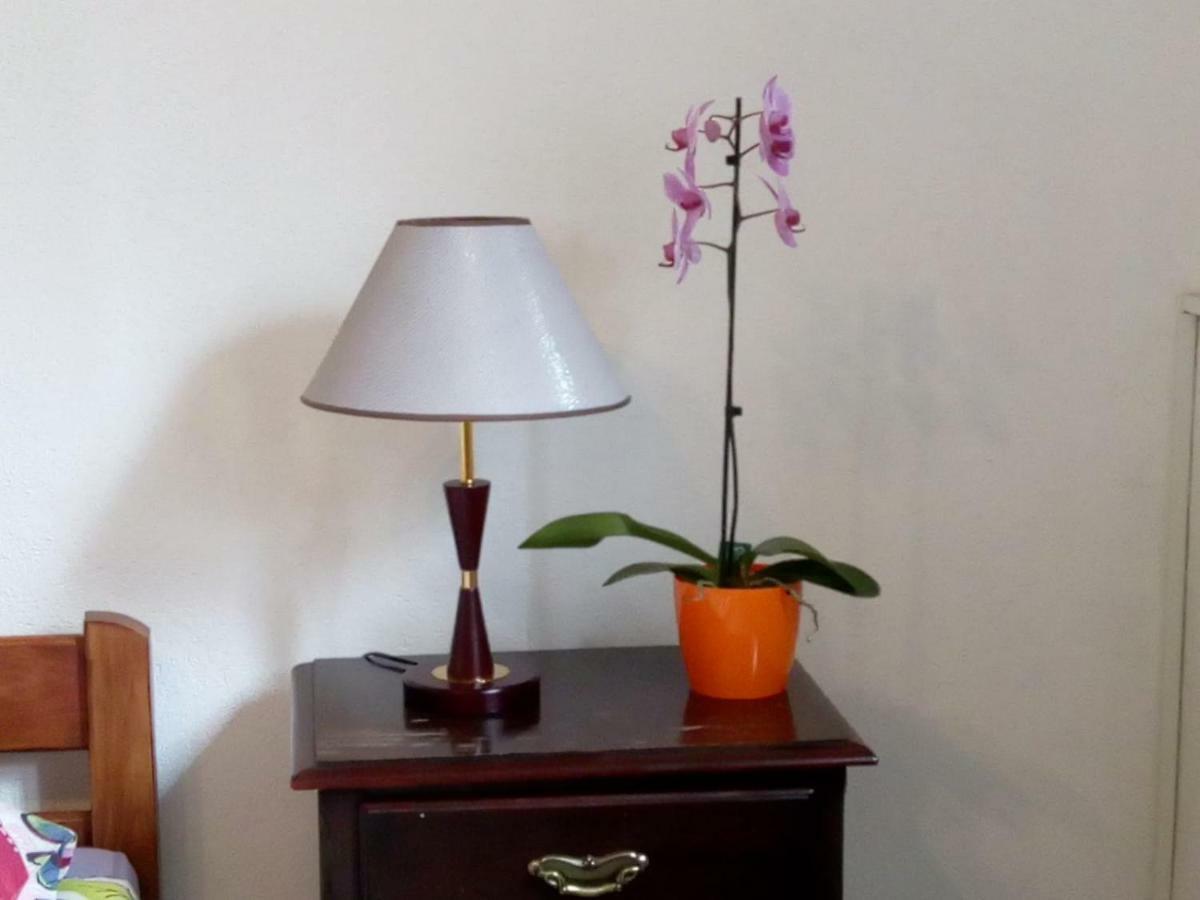 Apartman Teuta ザグレブ エクステリア 写真