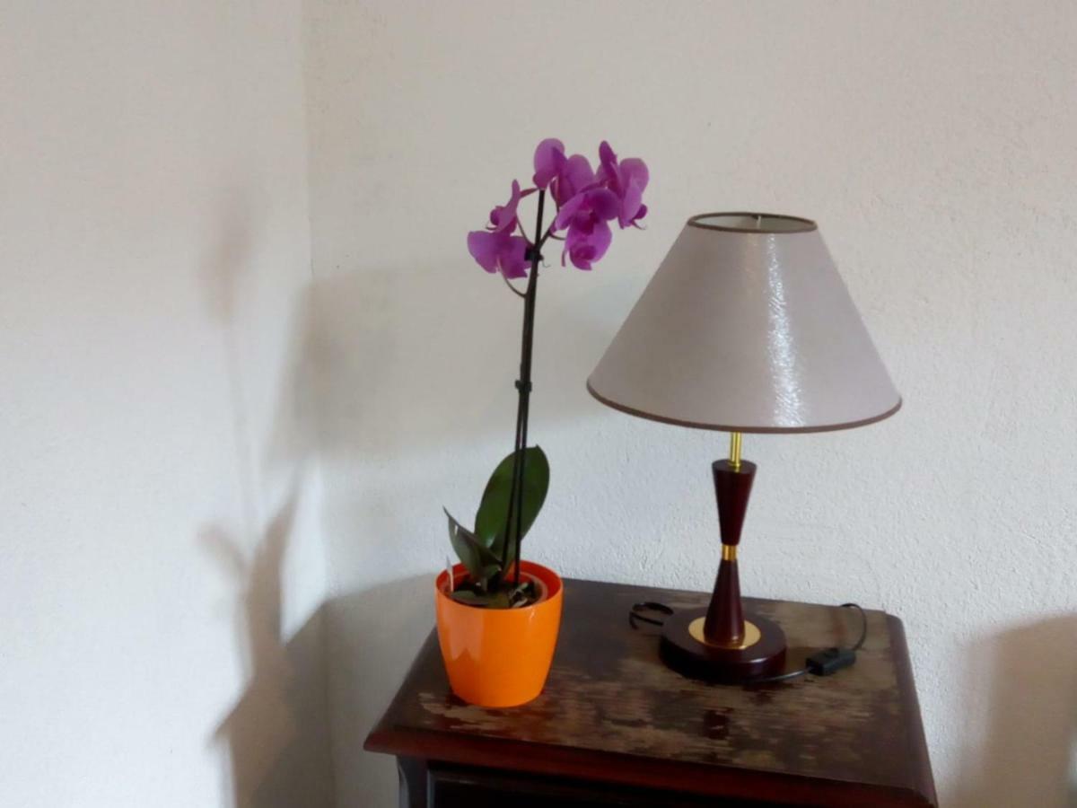 Apartman Teuta ザグレブ エクステリア 写真