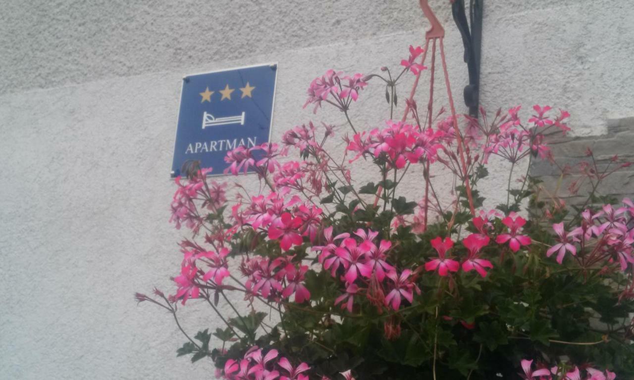Apartman Teuta ザグレブ エクステリア 写真