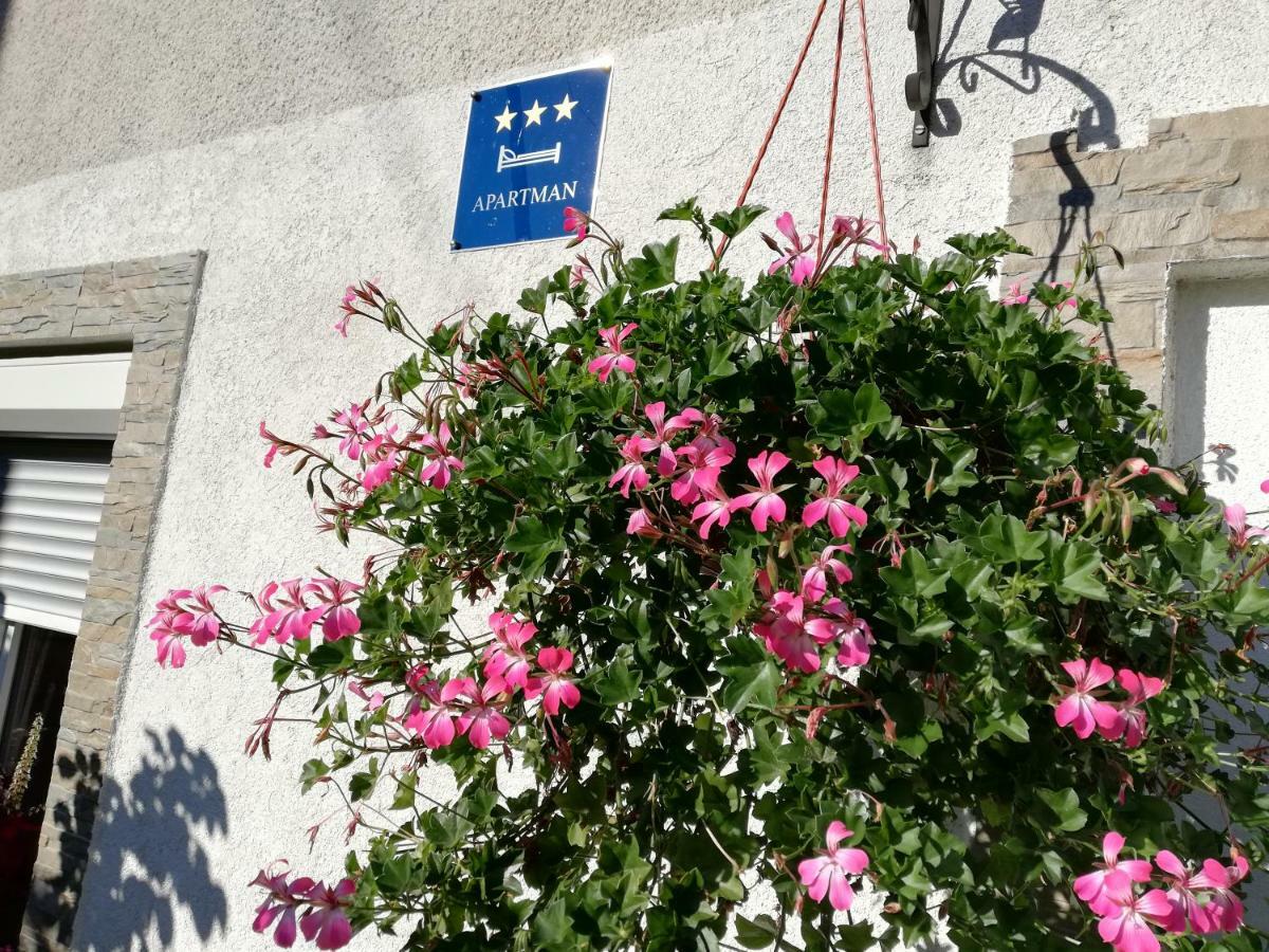 Apartman Teuta ザグレブ エクステリア 写真