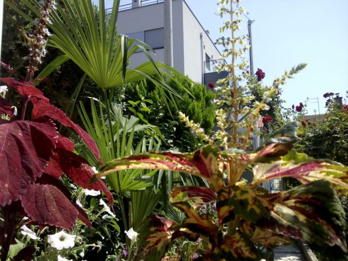 Apartman Teuta ザグレブ エクステリア 写真