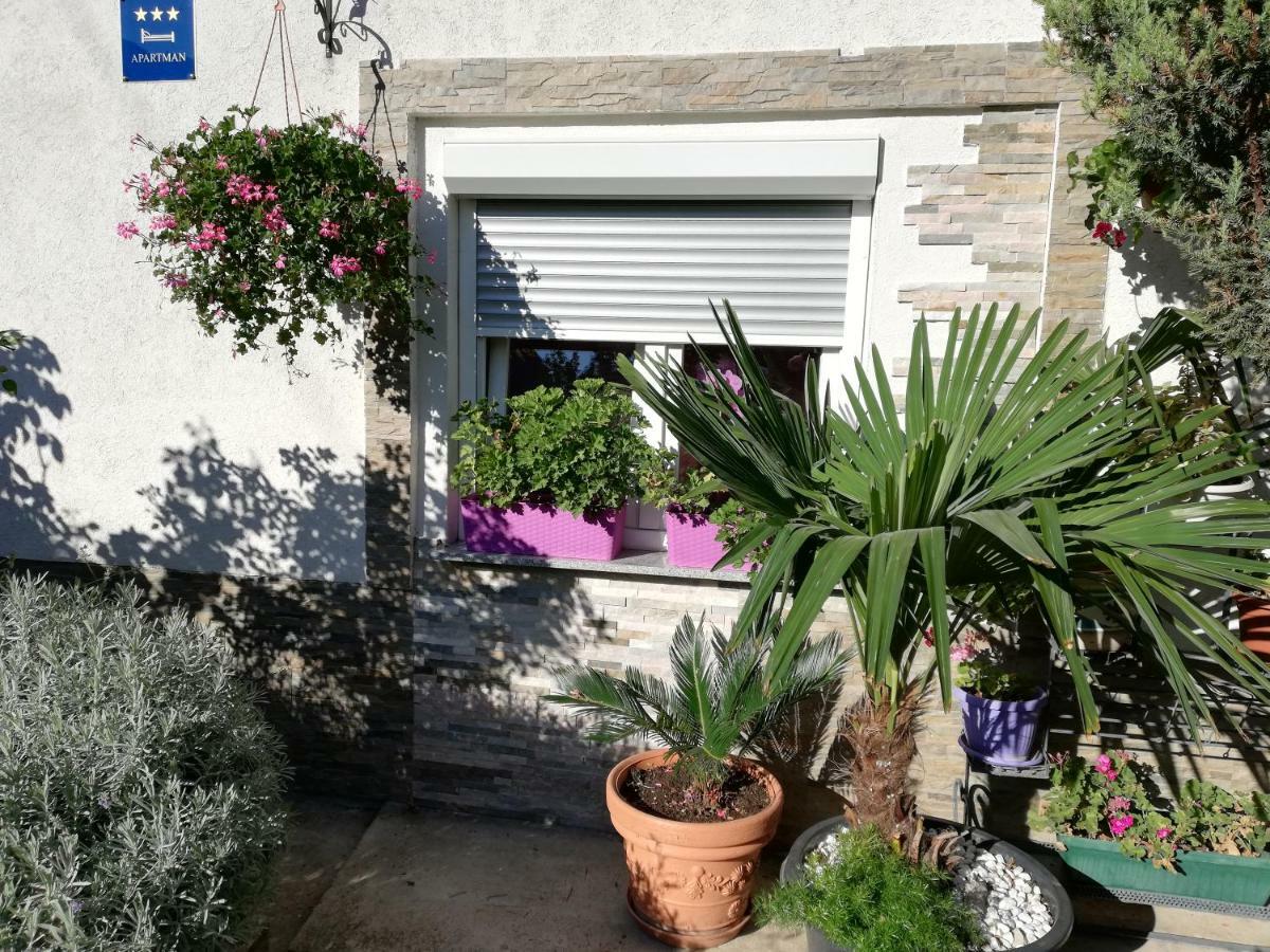 Apartman Teuta ザグレブ エクステリア 写真